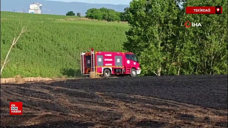 Tekirdağ’da buğday tarlasında yangın: 400 dönüm alan kül oldu