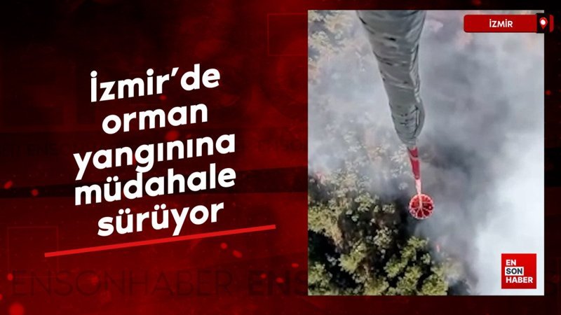 İzmir’de orman yangınına müdahale sürüyor