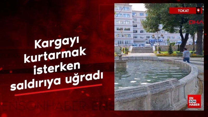 Tokat'ta kargayı kurtarmak isterken saldırıya uğradı