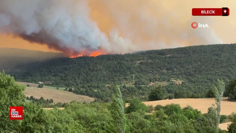 Bilecik'e sıçrayan orman yangını nedeniyle 7 köy yeri boşaltıldı