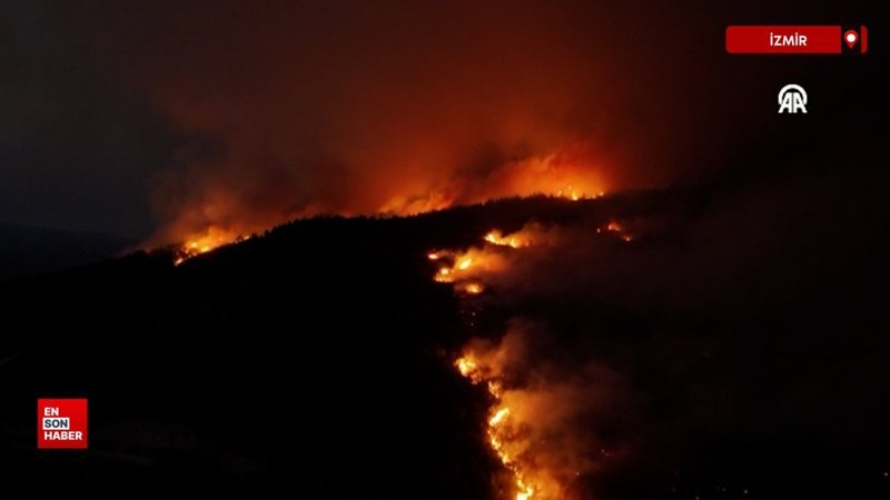 İzmir’de ormanlık alanlarda çıkan yangınlara müdahale ediliyor