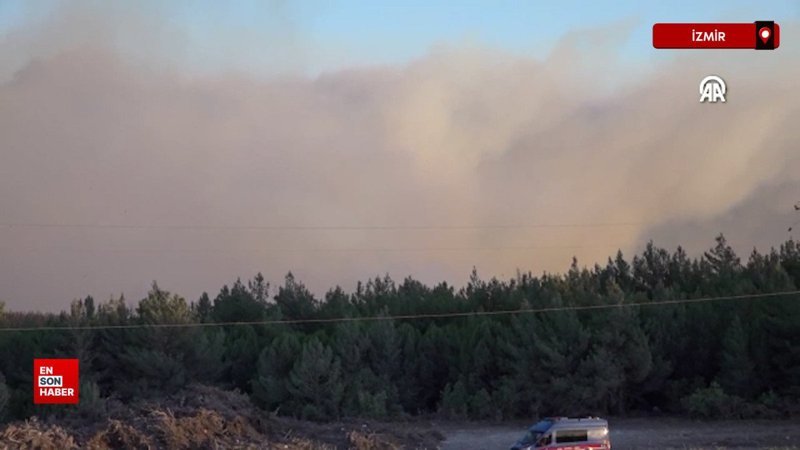 İzmir'in Buca ilçesindeki orman yangınına müdahale ediliyor