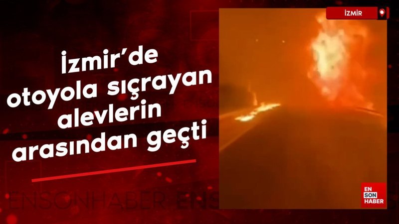 İzmir'de bir sürücü otoyola sıçrayan alevlerin arasından geçti