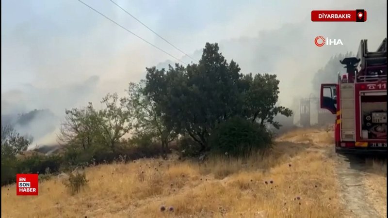 Diyarbakır'da ziraat arazisinde başlayıp ormanlık alana sıçrayan yangın 10 saat sonra söndürüldü