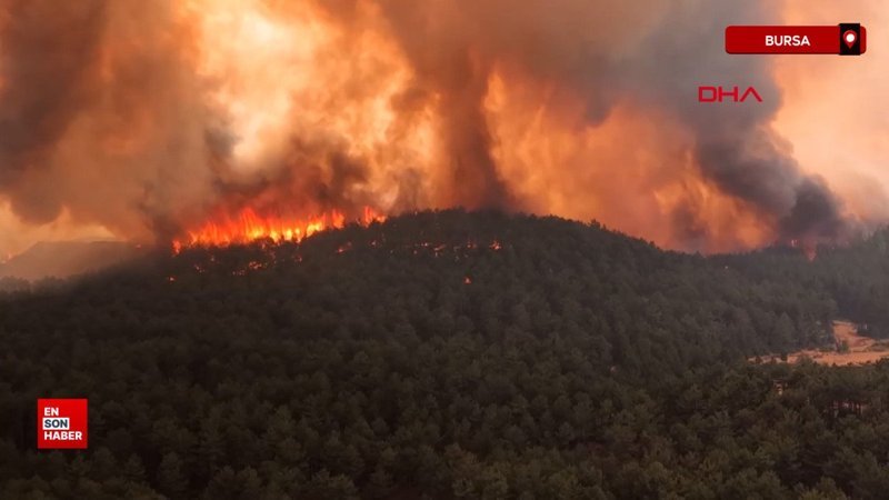 Bursa'da orman yangınları 3'üncü gününde