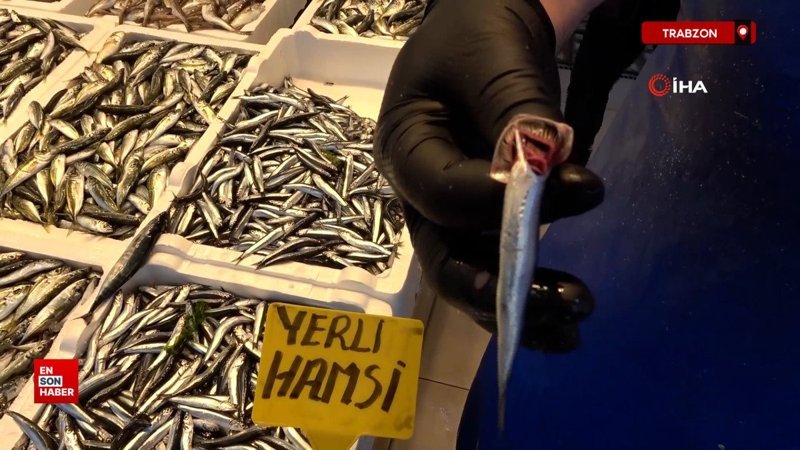 Trabzon'da hamsiyi tezgahta erken gördü