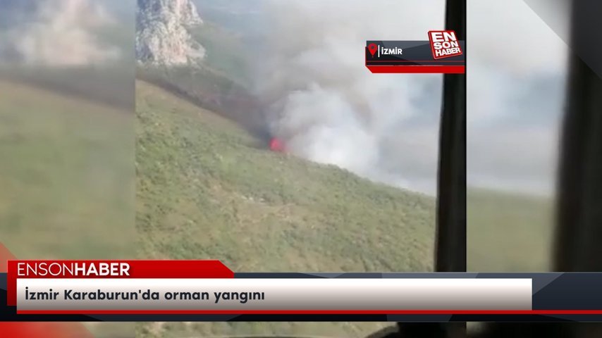 İzmir Karaburun'da orman yangını